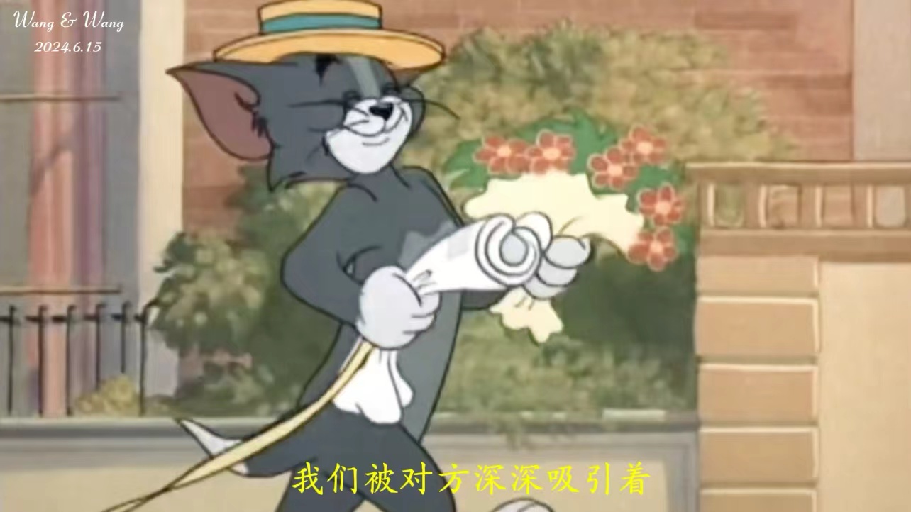 猫和老鼠（31张）婚礼视频